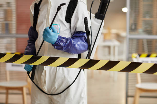 Professional Biohazard technician working in Mineola, TX